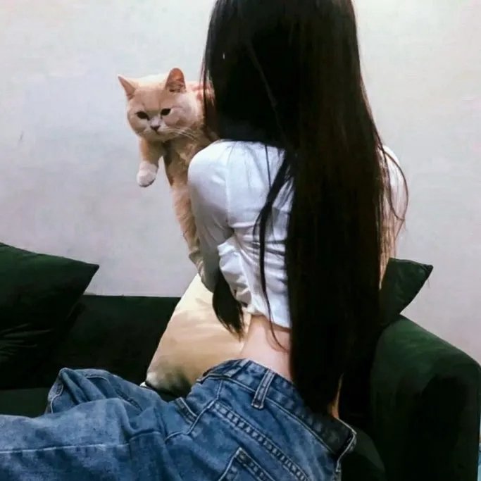 搞怪一家人：是个陷阱